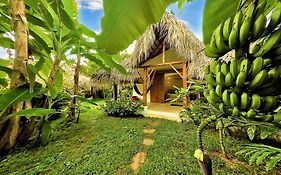 Casa Picaflor B&B